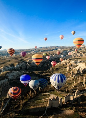 turkey